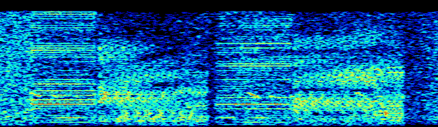 8 kHz databursts